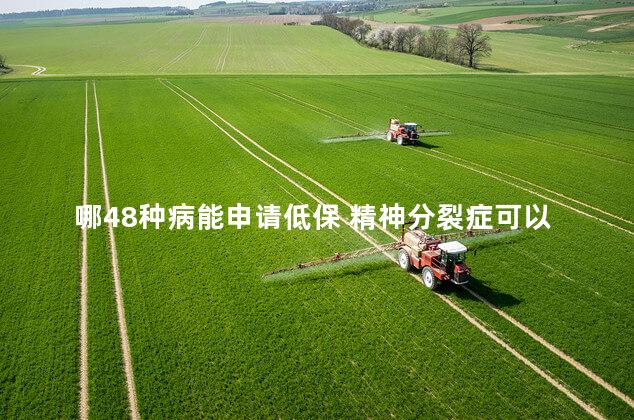 哪48种病能申请低保 精神分裂症可以申请低保吗